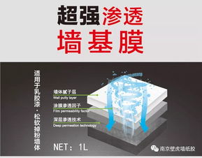 南京壁虎 做產品與做央視主持人一樣 實力說明一切