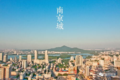 系列四 36計變形 城市生存挑戰南京五日營